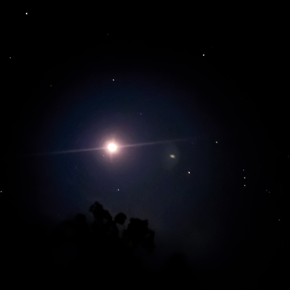 Meet your Posher, Mandi